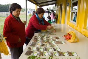 Escuela de Agronomía desarrolla proyecto que apoya a campesinos mapuche