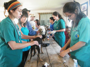 Escuela de Medicina Veterinaria realiza operativos en localidades azotadas por sismo del 27 de febrero