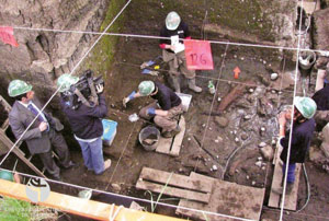 Encuentran restos paleontológicos gracias a proyecto Fondecyt de la UC Temuco