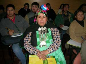 Escuela de Diseño de UC Temuco acogió seminario de artesanía