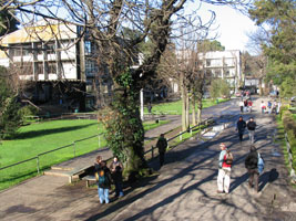 En Fondecyt regular 2008 UC Temuco adjudicó nuevos proyectos