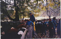 Operativos Veterinarios 2003