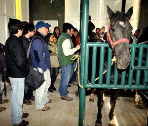 Prestigiosos Médicos Veterinarios expusieron en curso internacional de Capacitación en Reproducción Equina