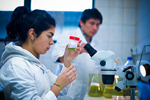 Núcleo de Producción Alimentaria obtuvo adjudicación de fondos para importantes proyectos de investigación internacionales
