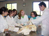 Universitarios en Encuentro de Medicina Veterinaria