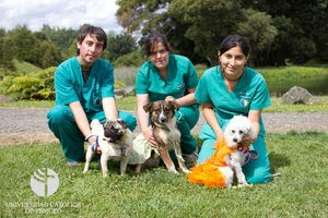 Todo listo para EXPOPETS 2011 en nuestra Universidad