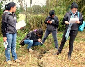 Estudiantes de Geografía realizan investigación sobre extrañas grietas que preocupan a habitantes de Purén