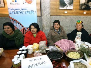 Lleno total en Seminario Gourmet con productores mapuche organizado por la UC Temuco