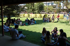 7 Nuevos Centros de Estudiantes se han conformado este año en nuestra Universidad