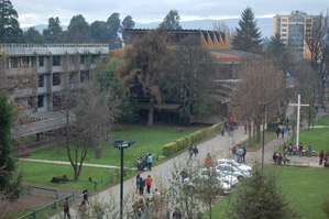 Cuatro nuevas carreras en UC Temuco