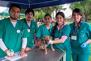 EXPOPETS 2012 convocó a una entusiasmada comunidad en el Parque Estadio de Temuco