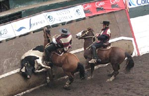 Estudiantes de Agronomía y Medicina Veterinaria estuvieron presentes en Nacional Universitario de Rodeo