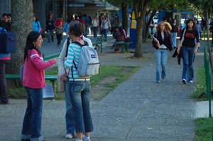 Acreditan a tres carreras de la Facultad de Educación por cuatro años