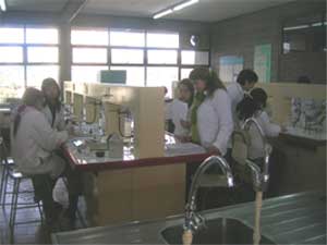 Futuros biólogos en talleres formativos de la UC Temuco